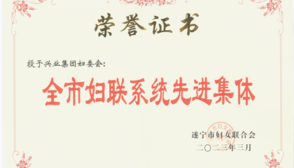 喜報！興業(yè)集團婦委會榮獲“全市婦聯(lián)系統(tǒng)先進(jìn)集體”榮譽稱號